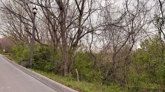 Lot 4 Hideaway Ridge Circle, Sevierville, TN 37862