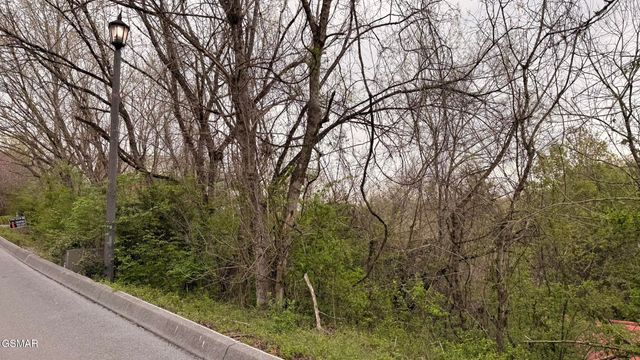 Lot 4 Hideaway Ridge Circle, Sevierville, TN 37862
