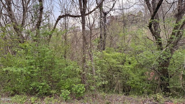 Lot 4 Hideaway Ridge Circle, Sevierville, TN 37862