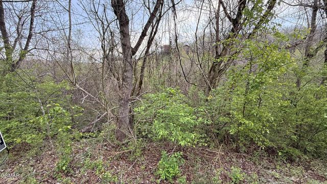 Lot 4 Hideaway Ridge Circle, Sevierville, TN 37862