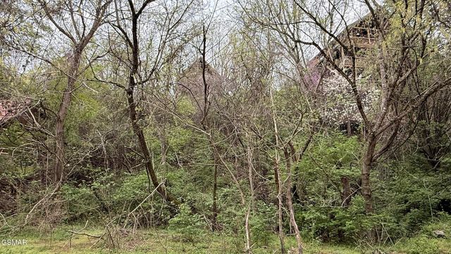 Lot 4 Hideaway Ridge Circle, Sevierville, TN 37862