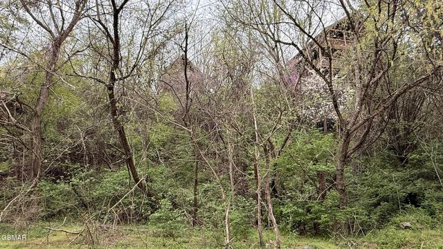 Lot 4 Hideaway Ridge Circle, Sevierville, TN 37862