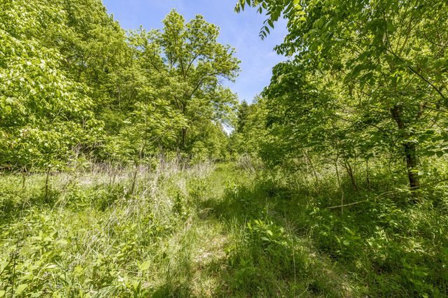 0 Rabe Coates Rd, Westmoreland, TN 37186