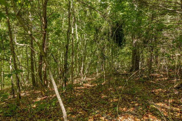 0 Rabe Coates Rd, Westmoreland, TN 37186