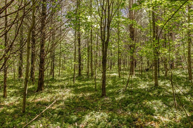 0 Rabe Coates Rd, Westmoreland, TN 37186