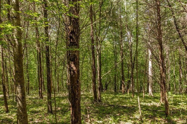 0 Rabe Coates Rd, Westmoreland, TN 37186