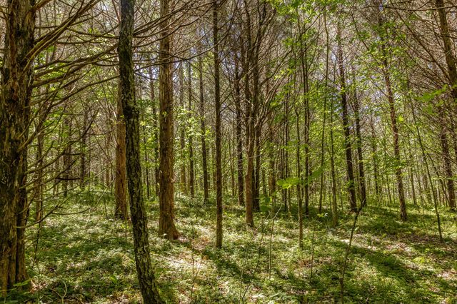 0 Rabe Coates Rd, Westmoreland, TN 37186