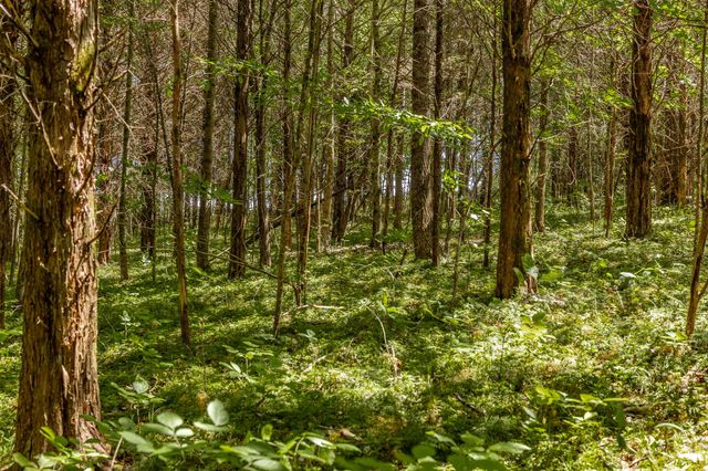 0 Rabe Coates Rd, Westmoreland, TN 37186