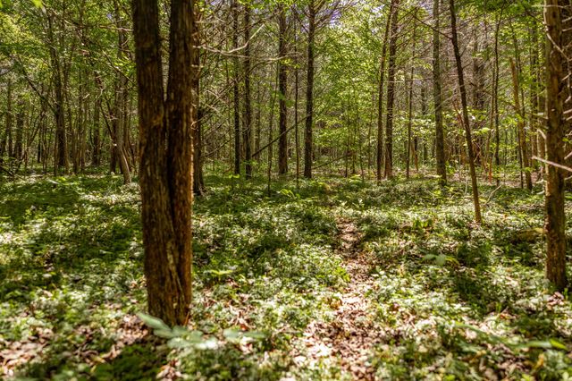 0 Rabe Coates Rd, Westmoreland, TN 37186