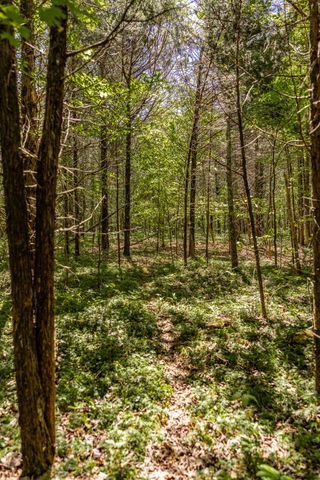 0 Rabe Coates Rd, Westmoreland, TN 37186