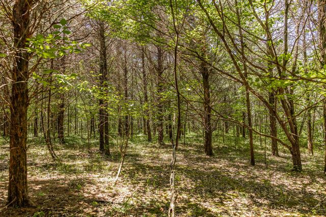 0 Rabe Coates Rd, Westmoreland, TN 37186