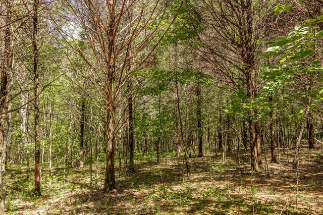 0 Rabe Coates Rd, Westmoreland, TN 37186