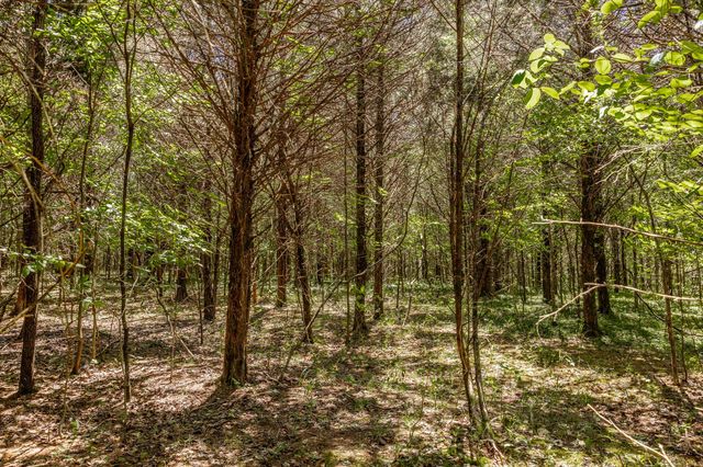 0 Rabe Coates Rd, Westmoreland, TN 37186