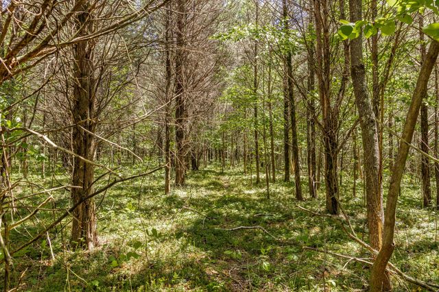 0 Rabe Coates Rd, Westmoreland, TN 37186