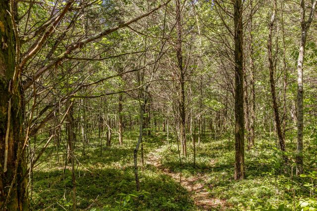 0 Rabe Coates Rd, Westmoreland, TN 37186