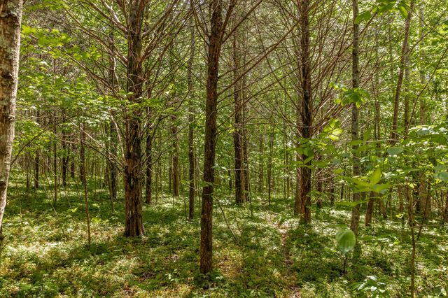 0 Rabe Coates Rd, Westmoreland, TN 37186