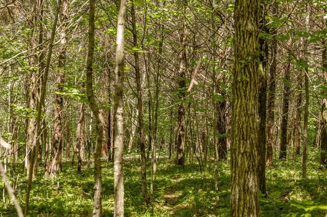 0 Rabe Coates Rd, Westmoreland, TN 37186