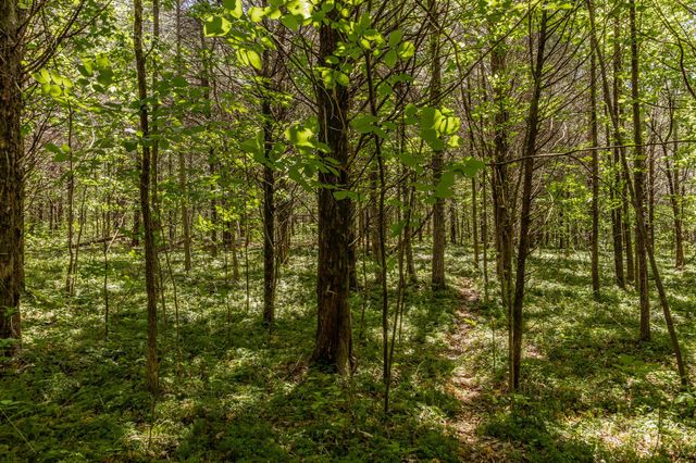 0 Rabe Coates Rd, Westmoreland, TN 37186