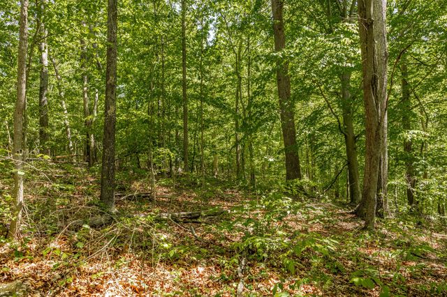 0 Rabe Coates Rd, Westmoreland, TN 37186