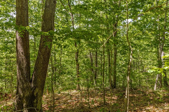 0 Rabe Coates Rd, Westmoreland, TN 37186