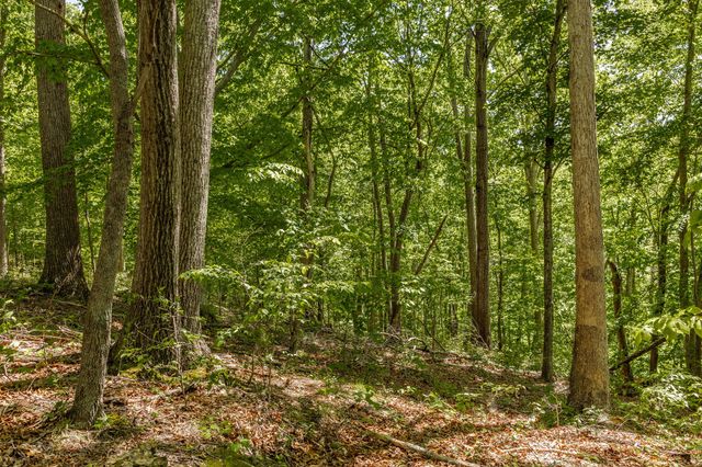 0 Rabe Coates Rd, Westmoreland, TN 37186