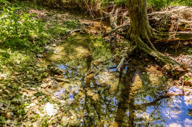 0 Rabe Coates Rd, Westmoreland, TN 37186
