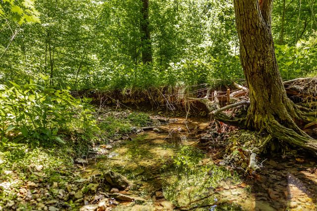0 Rabe Coates Rd, Westmoreland, TN 37186