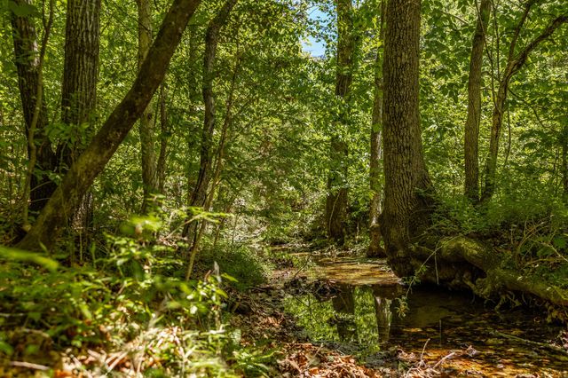 0 Rabe Coates Rd, Westmoreland, TN 37186
