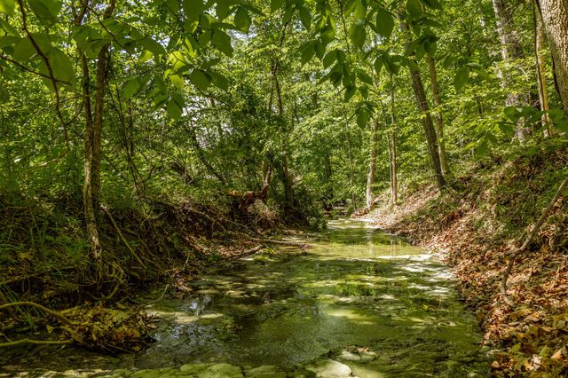 0 Rabe Coates Rd, Westmoreland, TN 37186