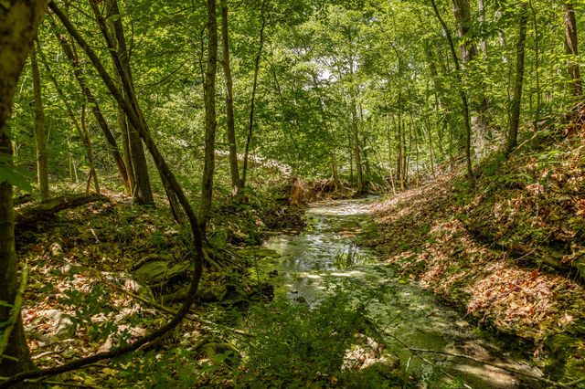 0 Rabe Coates Rd, Westmoreland, TN 37186