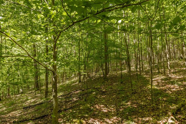 0 Rabe Coates Rd, Westmoreland, TN 37186