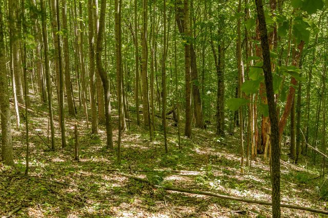 0 Rabe Coates Rd, Westmoreland, TN 37186