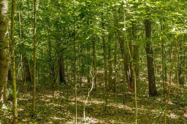 0 Rabe Coates Rd, Westmoreland, TN 37186