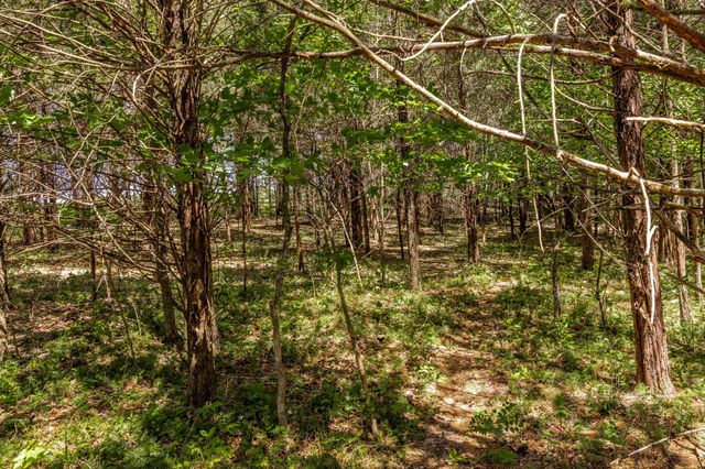 0 Rabe Coates Rd, Westmoreland, TN 37186