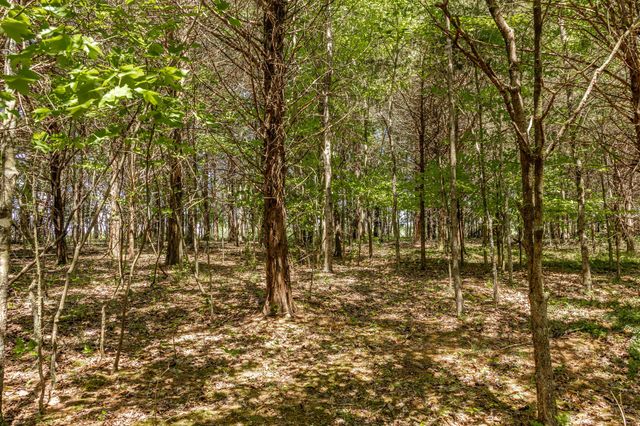 0 Rabe Coates Rd, Westmoreland, TN 37186