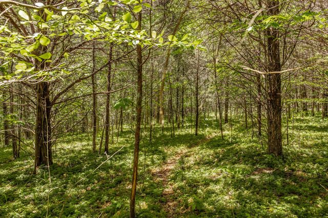 0 Rabe Coates Rd, Westmoreland, TN 37186
