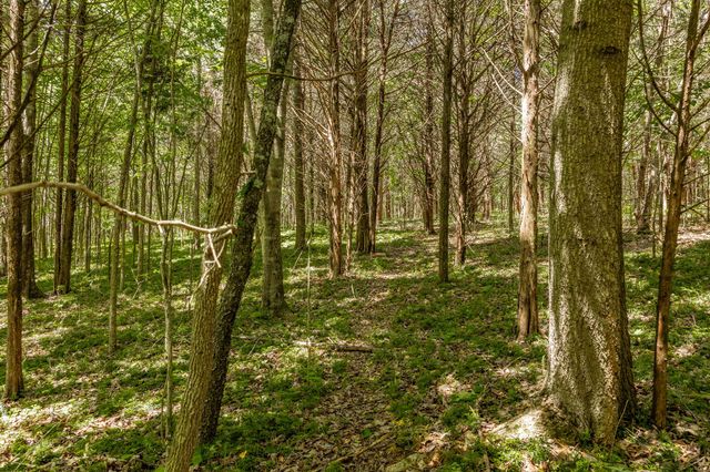 0 Rabe Coates Rd, Westmoreland, TN 37186
