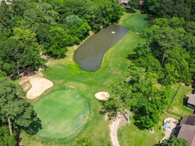 25 Shady Oak Lane, Conroe, TX 77304