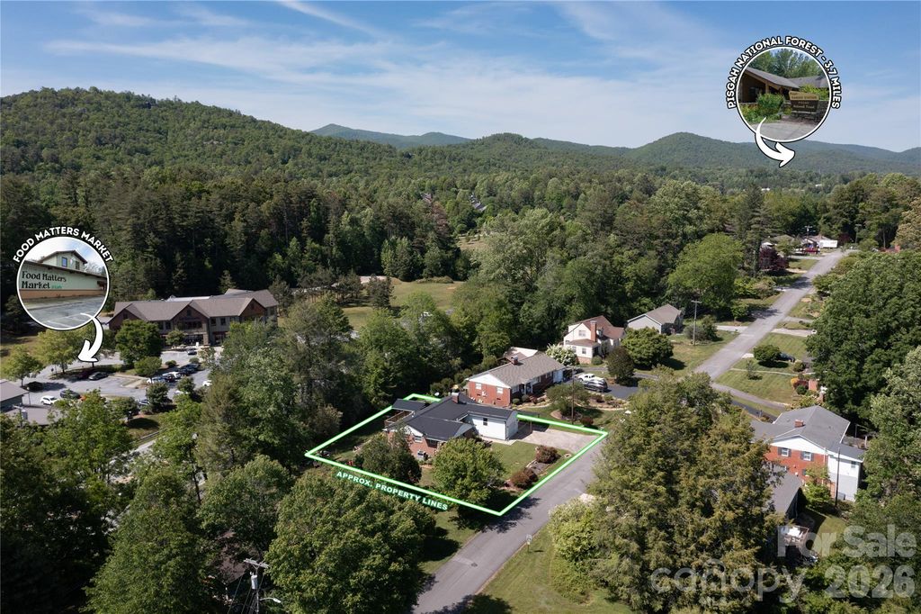 75 Hawthorne Drive, Brevard, NC 28712