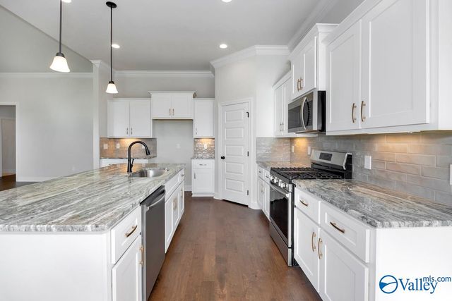 107 Kit Fox Drive, Meridianville, AL 35759