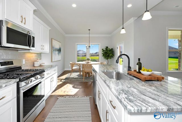 107 Kit Fox Drive, Meridianville, AL 35759