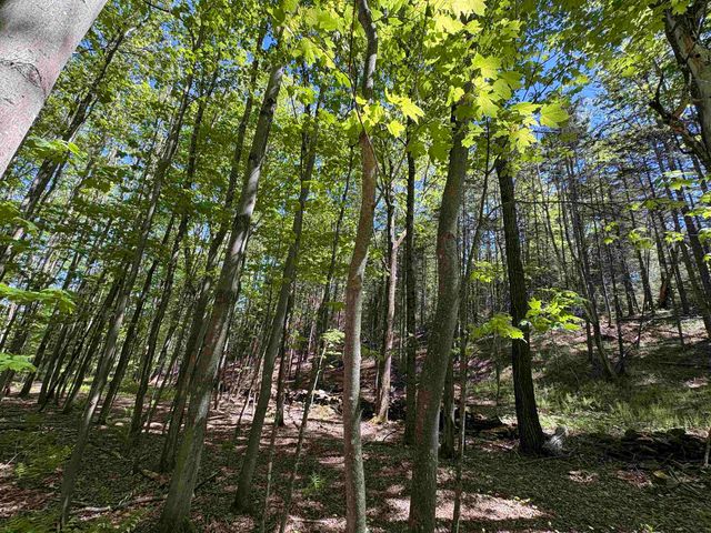 396 Rand Road, Randolph, VT 05061