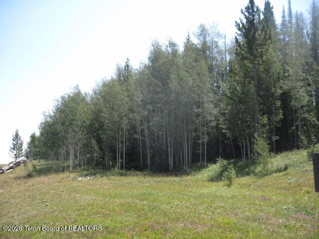 124 HURRICANE Trail, Daniel, WY 83115 photo 3