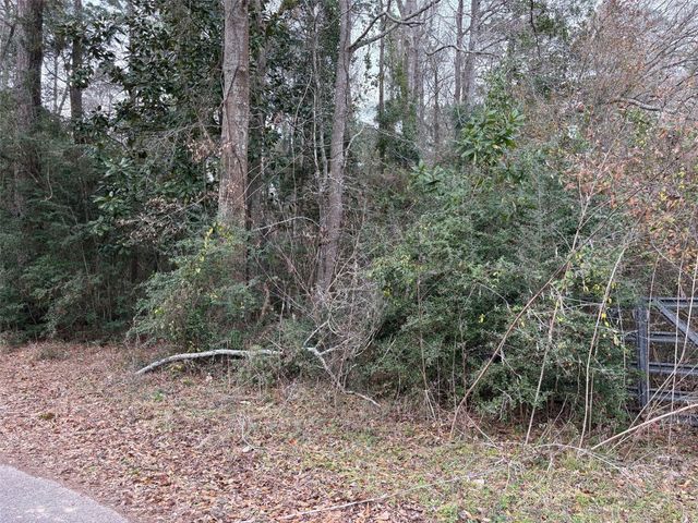 00 County Road 3011, Tarkington, TX 77535