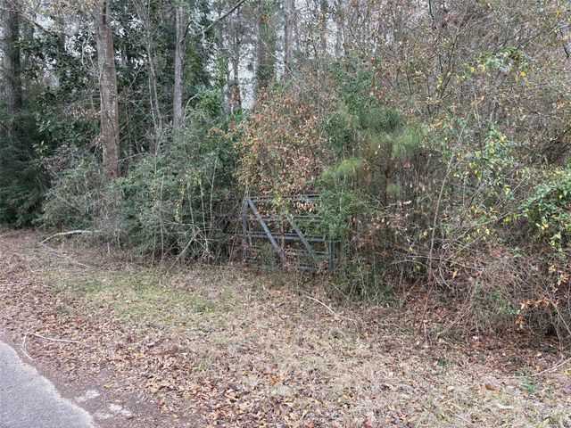 00 County Road 3011, Tarkington, TX 77535