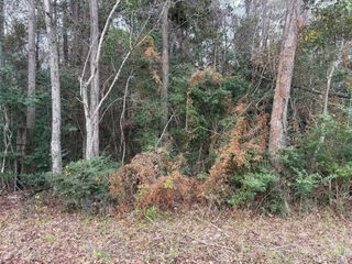 00 County Road 3011, Tarkington, TX 77535