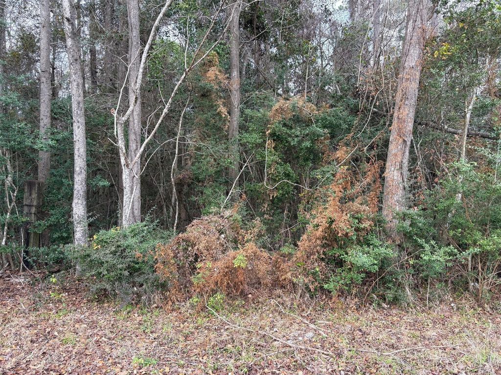 00 County Road 3011, Tarkington, TX 77535