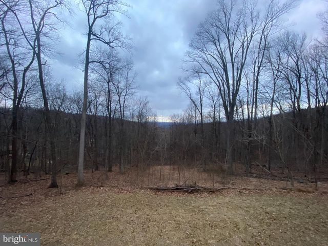 397 PARKSIDE RD, Linden, VA 22642