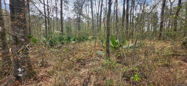 Tract A-4 Reinninger Rd, Denham Springs, LA 70706