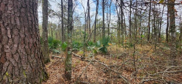 Tract A-4 Reinninger Rd, Denham Springs, LA 70706